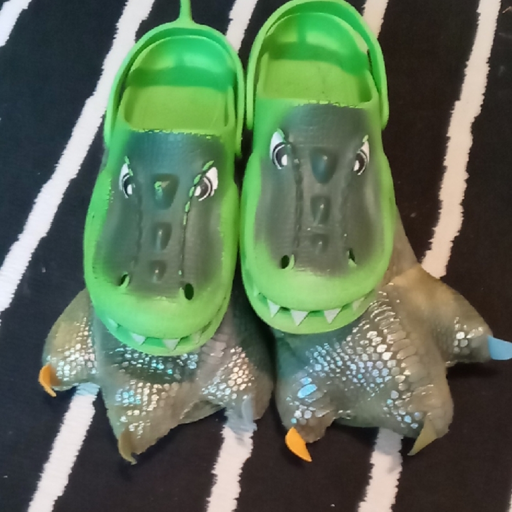 Green Dinosaur Slippers And "Crocs" Kids Shoes
